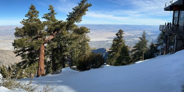View from Mountain Station | From Desert Heat to Snow via the Palm Springs Aerial Tramway!